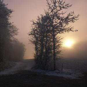 偷拍老头老太太性爱
